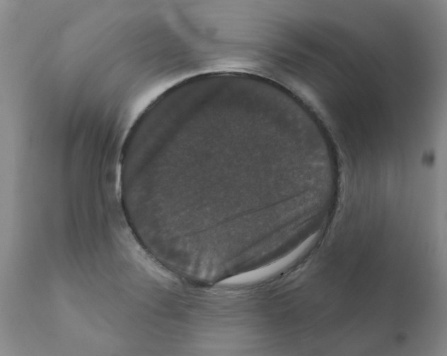 X0000111521324200908251127
