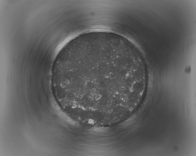 X0000111521325200908251127