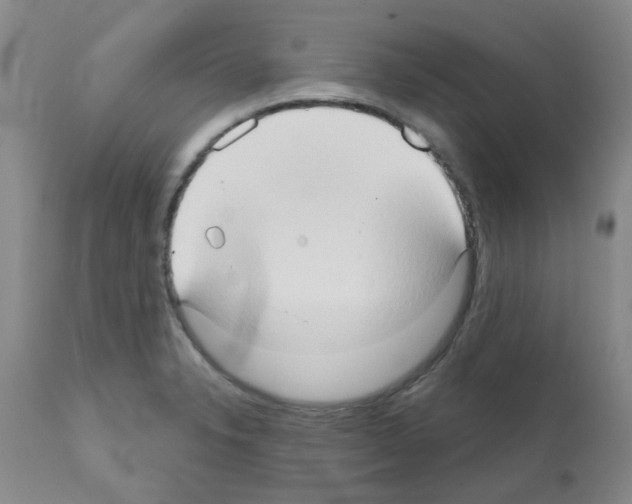 X0000111521326200908251127