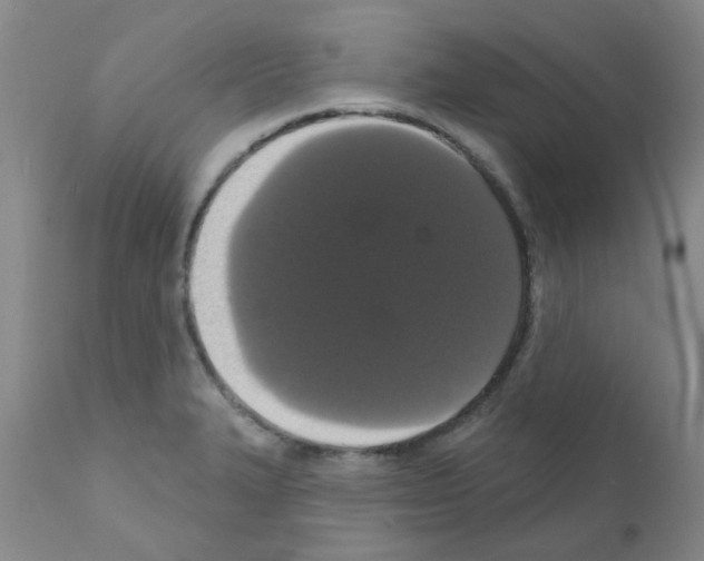 X0000111521327200908251127