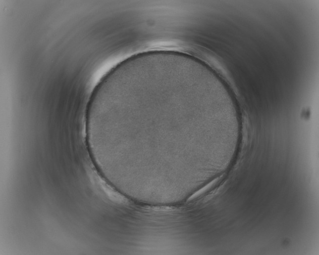 X0000111521328200908251127
