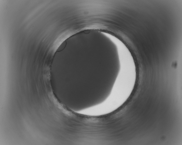 X0000111521329200908251127