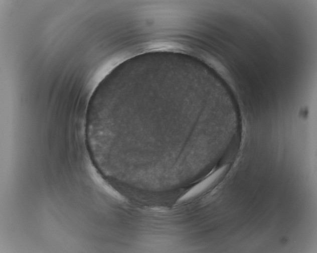 X0000111521330200908251127
