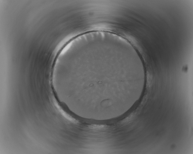 X0000111521331200908251127