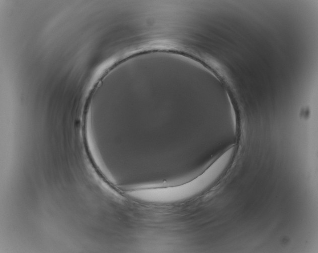 X0000111521334200908251127