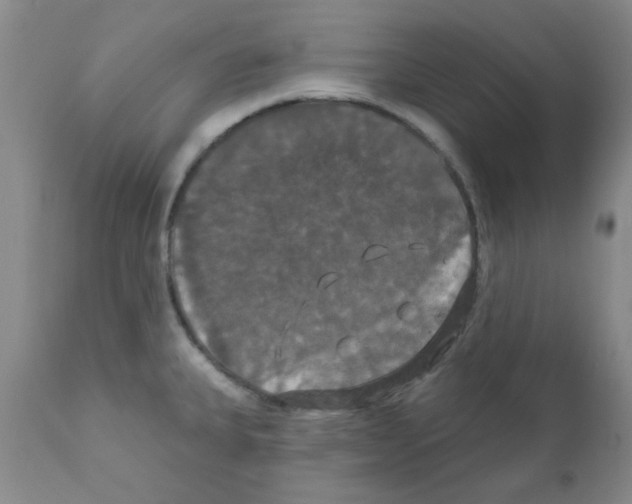 X0000111521335200908251127