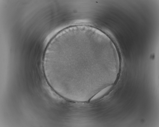 X0000111521336200908251127
