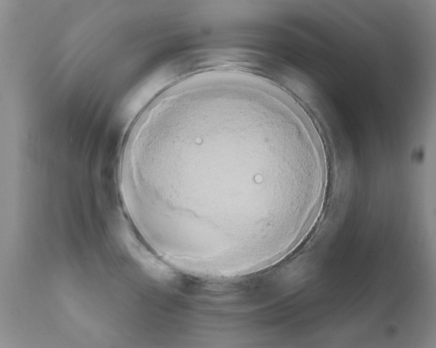 X0000111521338200908251127