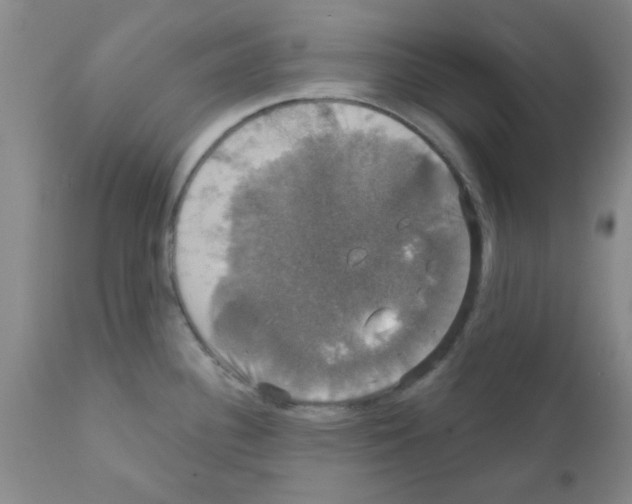X0000111521340200908251127