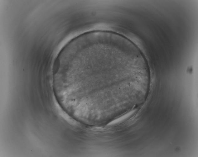 X0000111521342200908251127