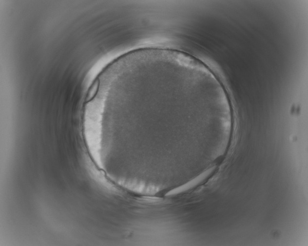 X0000111521344200908251127