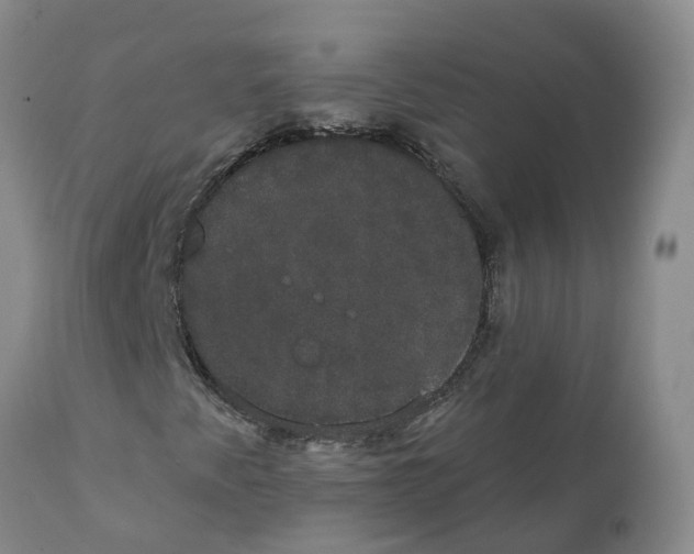 X0000111521345200908251127