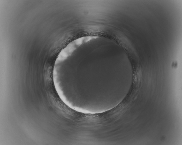 X0000111521346200908251127