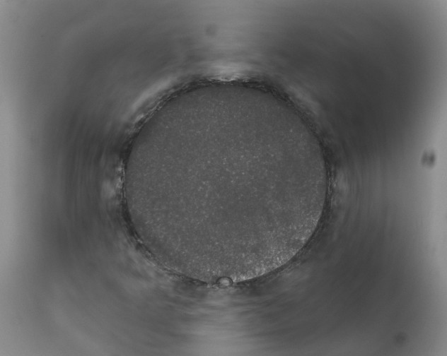 X0000111521349200908251127