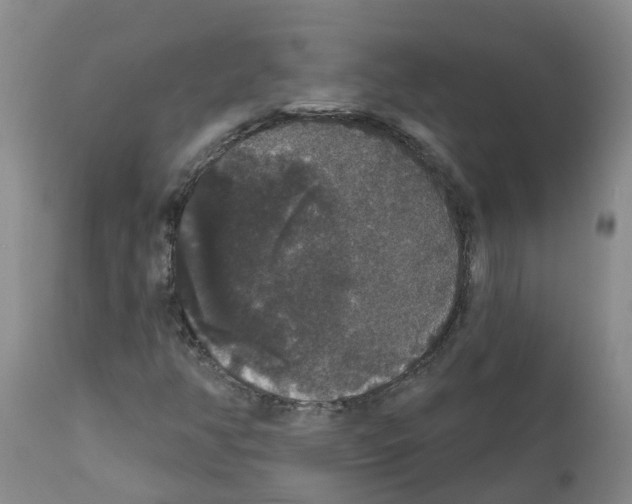 X0000111521350200908251127