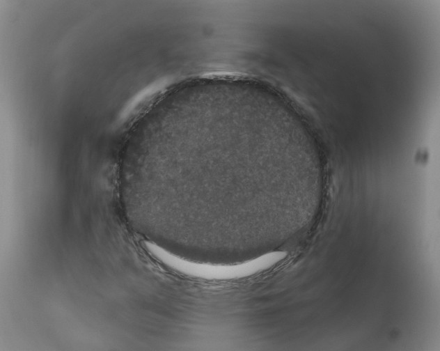 X0000111521351200908251127