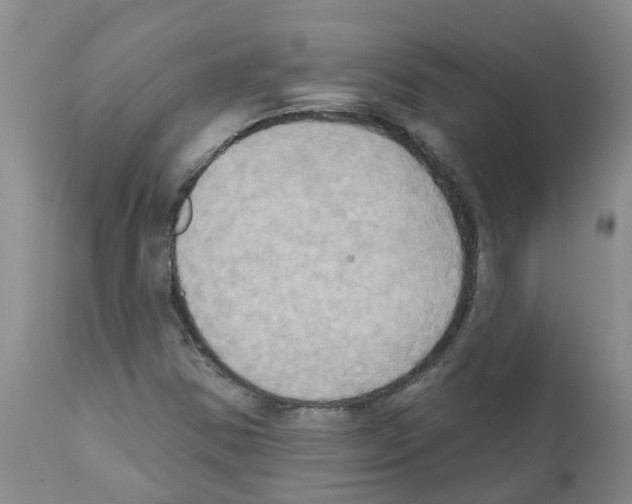 X0000111521354200908251127