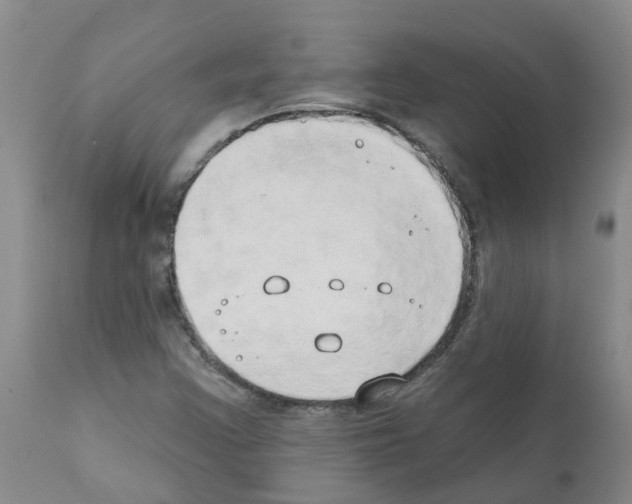X0000111521355200908251127