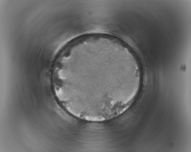 X0000111521356200908251127