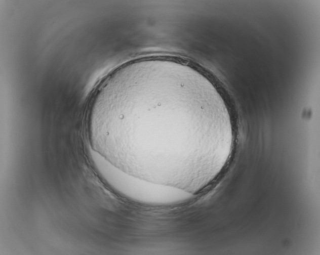 X0000111521357200908251127