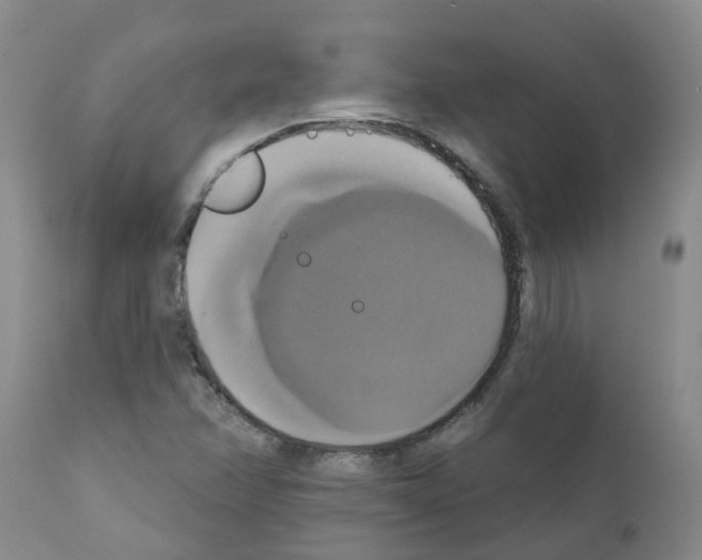 X0000111521358200908251127
