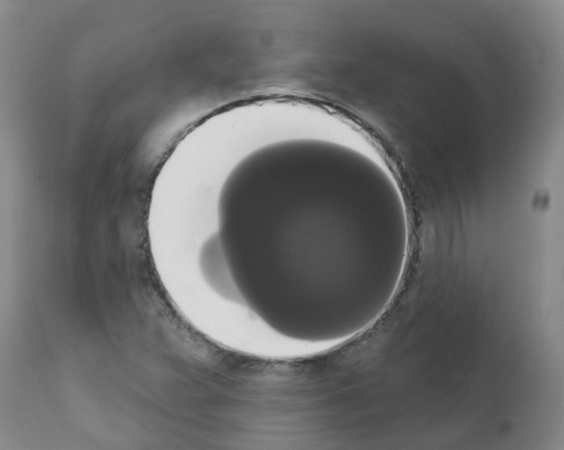 X0000111521359200908251126