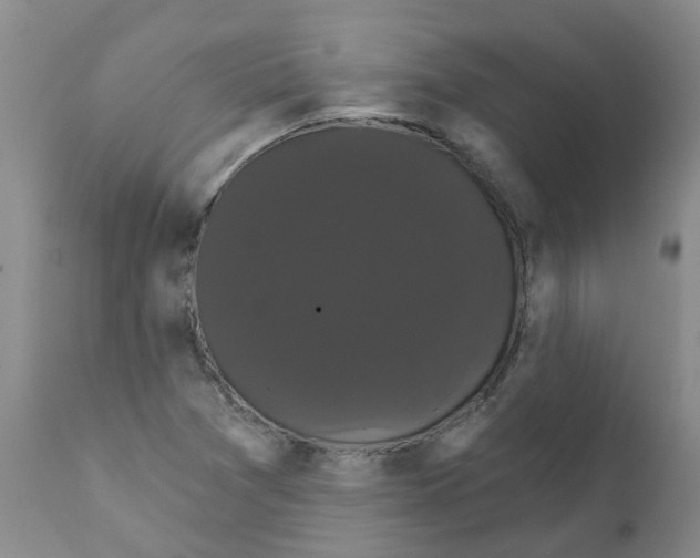 X0000111521361200908251126