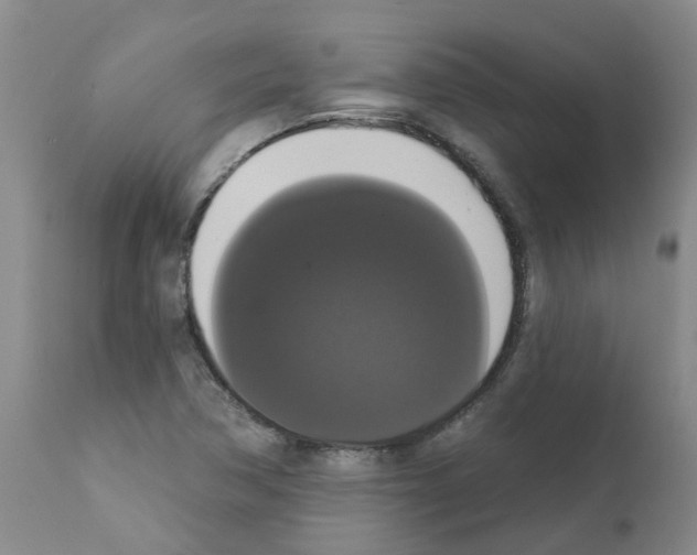 X0000111521362200908251126