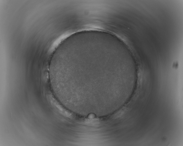 X0000111521363200908251126