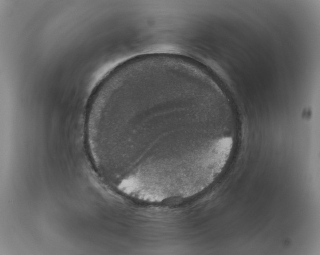 X0000111521364200908251126