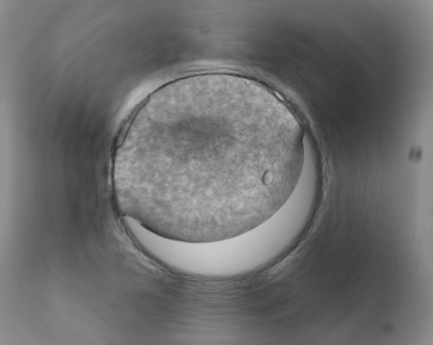 X0000111521365200908251126