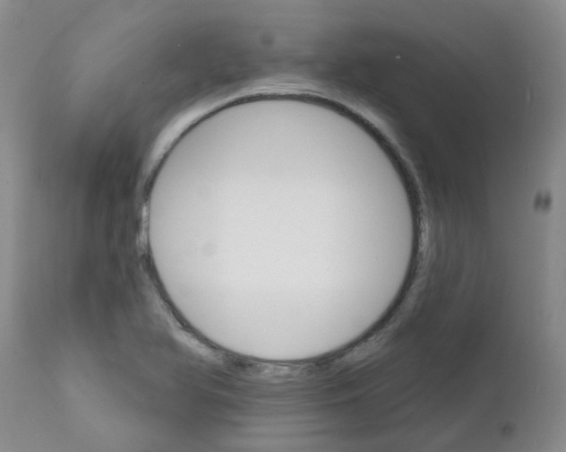 X0000111521366200908251126