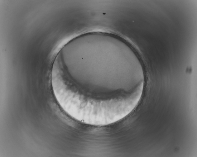 X0000111521367200908251126