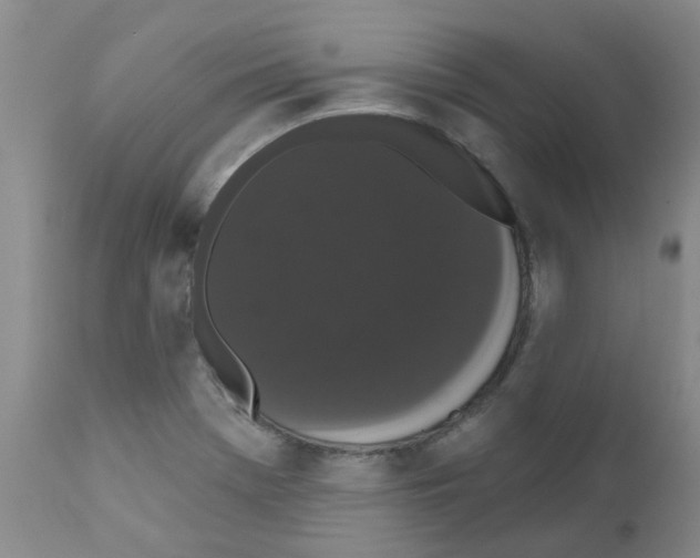 X0000111521369200908251126