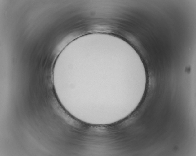 X0000111521370200908251126