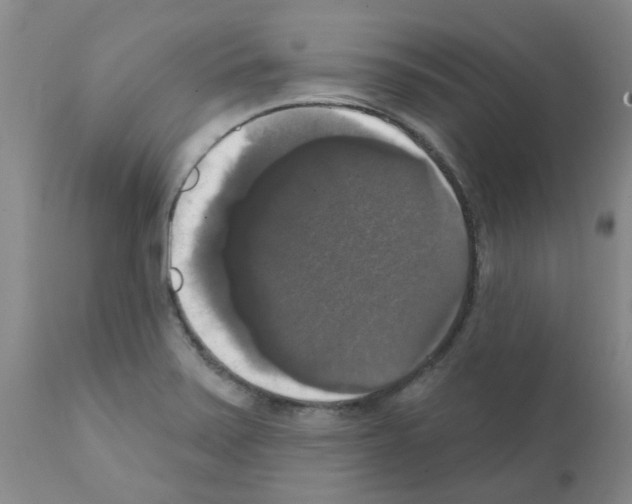 X0000111521371200908251126