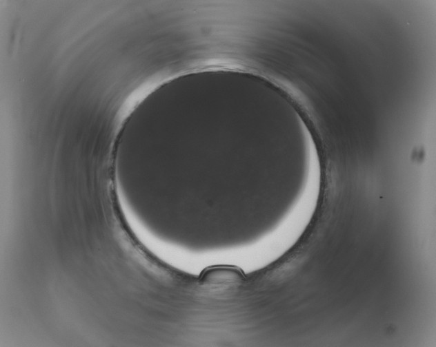 X0000111521373200908251126