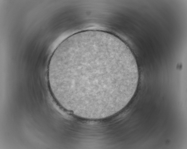 X0000111521375200908251126
