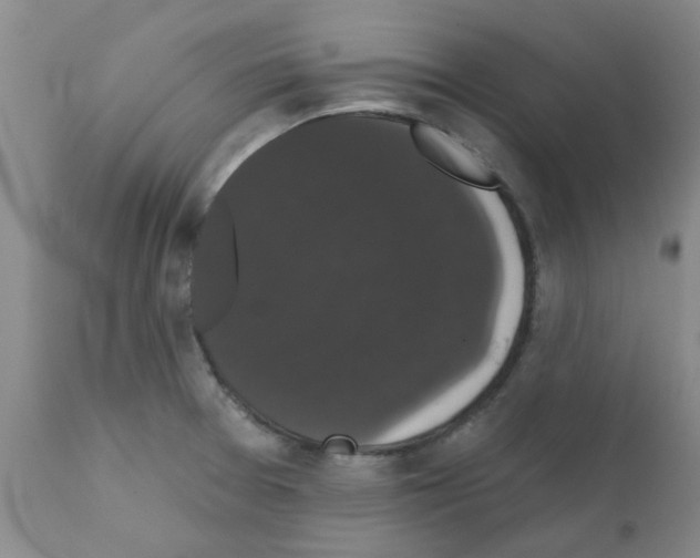 X0000111521377200908251126