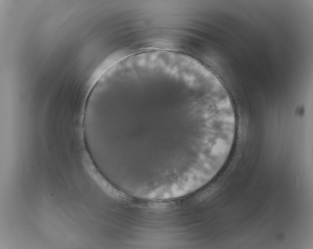 X0000111521378200908251126