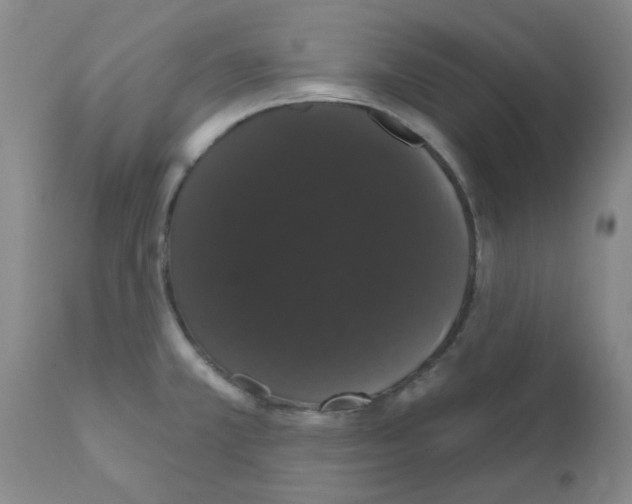 X0000111521381200908251126