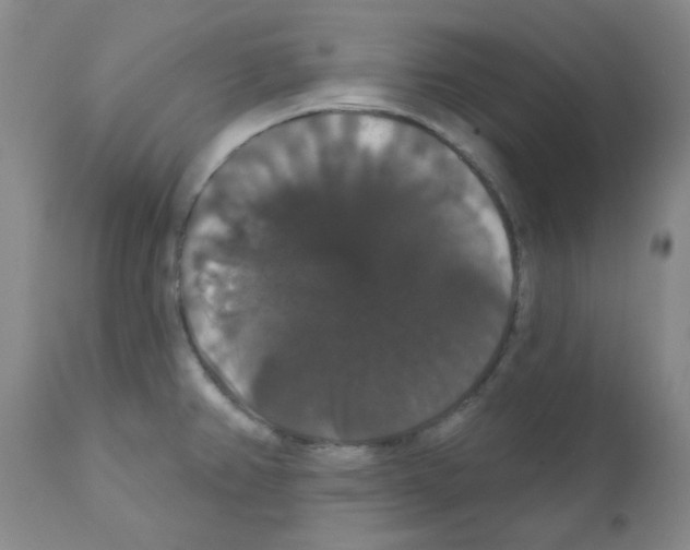 X0000111521382200908251126