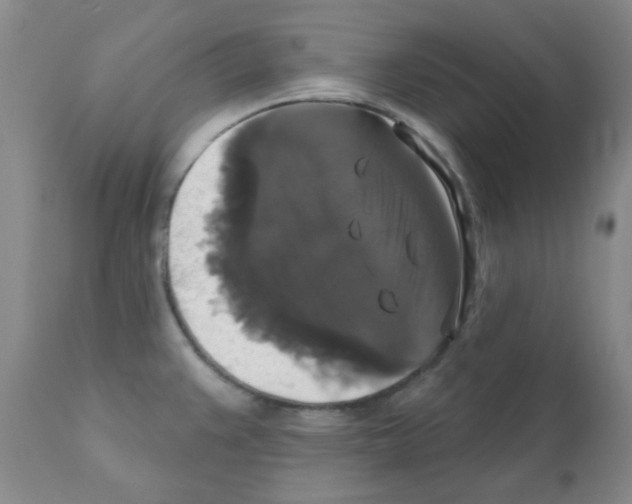 X0000111521383200908251126