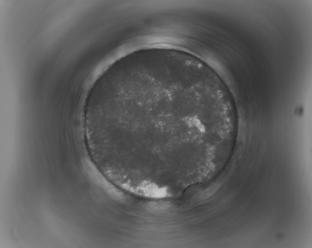 X0000111521384200908251126