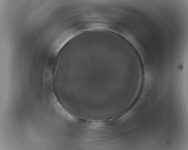 X0000111521385200908251126