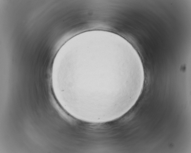 X0000111521391200908251126
