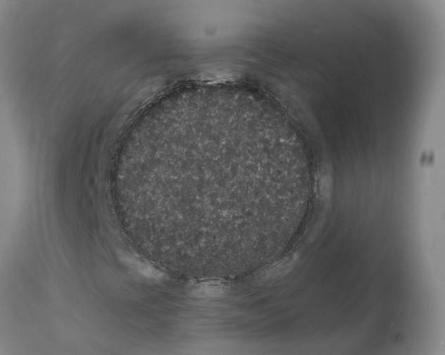 X0000111521393200908251125