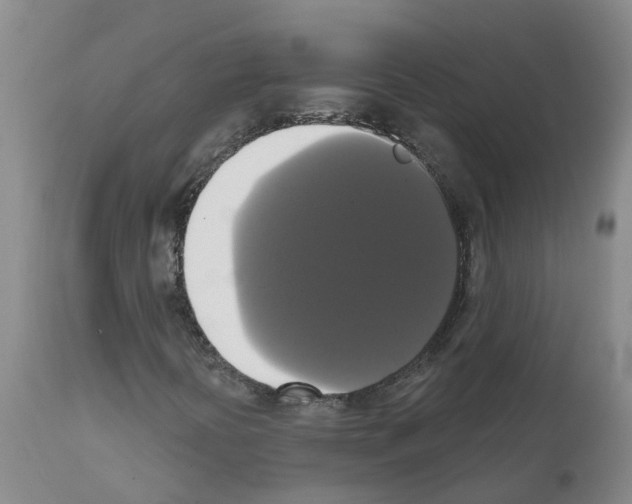 X0000111521394200908251125
