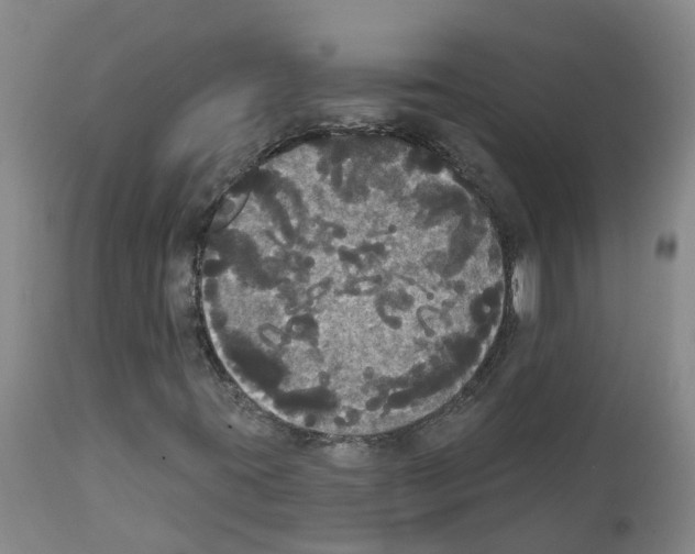 X0000111521395200908251125