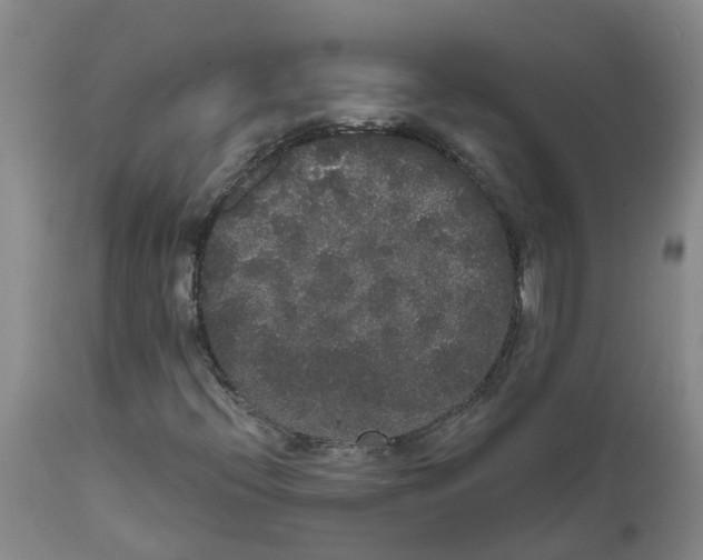 X0000111521396200908251125